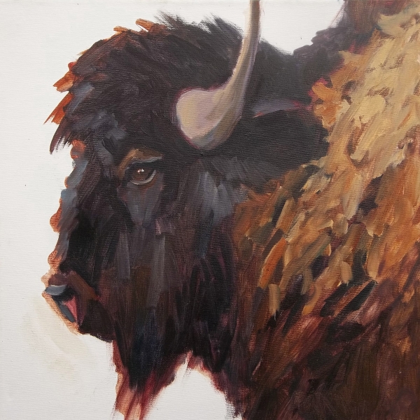 Bison Bull by Susan Bell