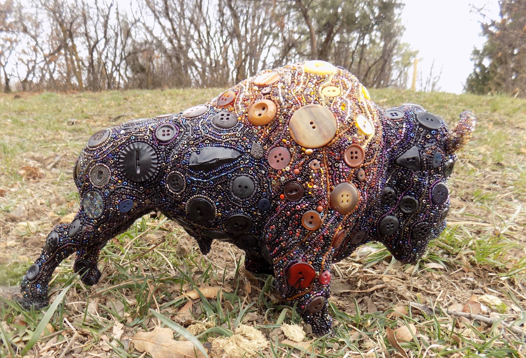 Tatonka by Susan Bell
