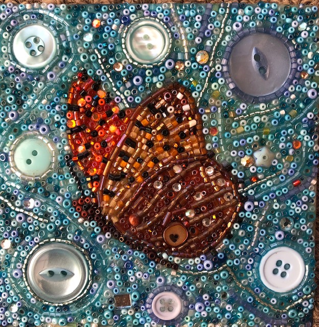 Leopard Butterfly by Susan Bell