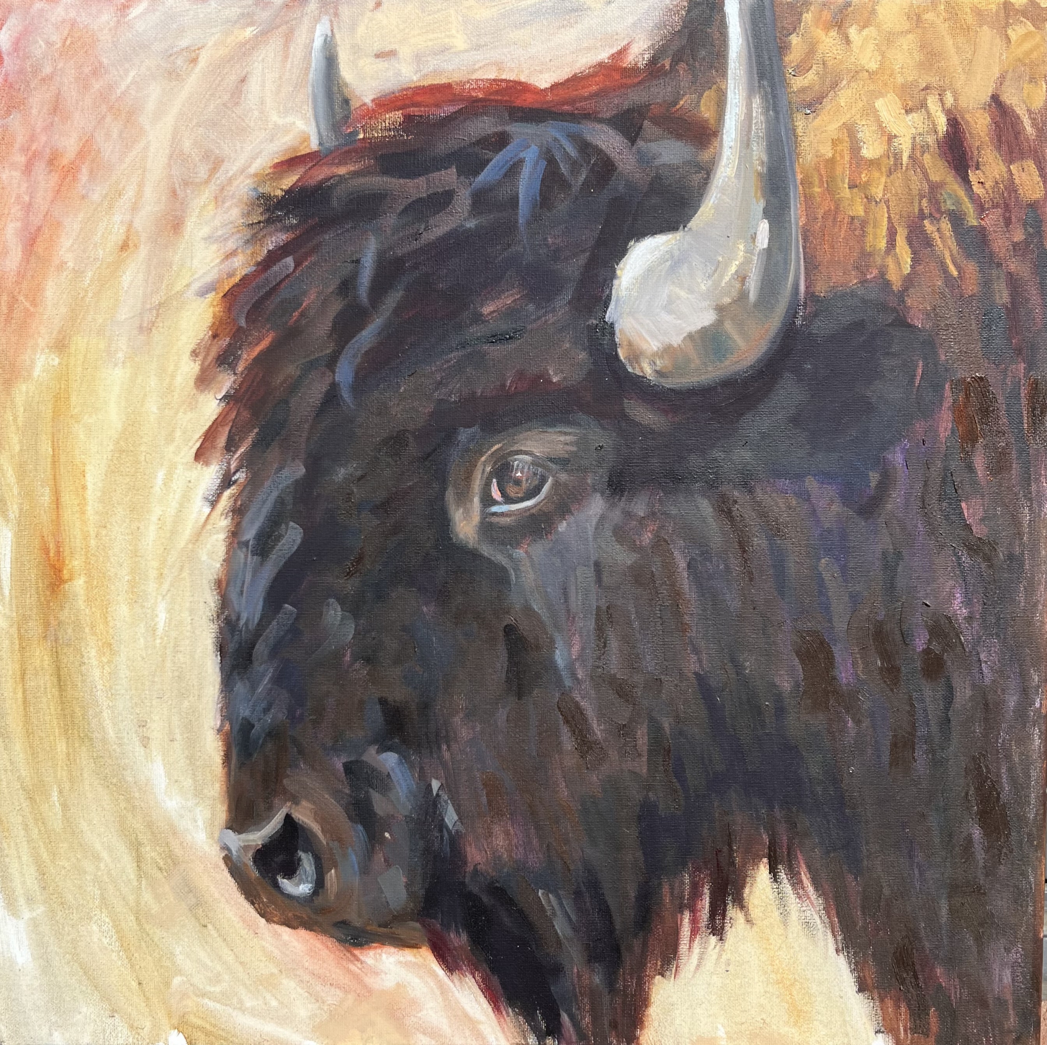Young Bull by Susan Bell