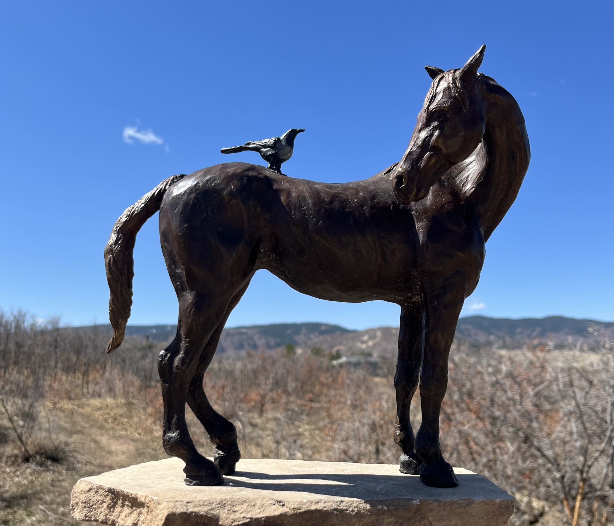 Take the message over the Mountain by Susan Bell