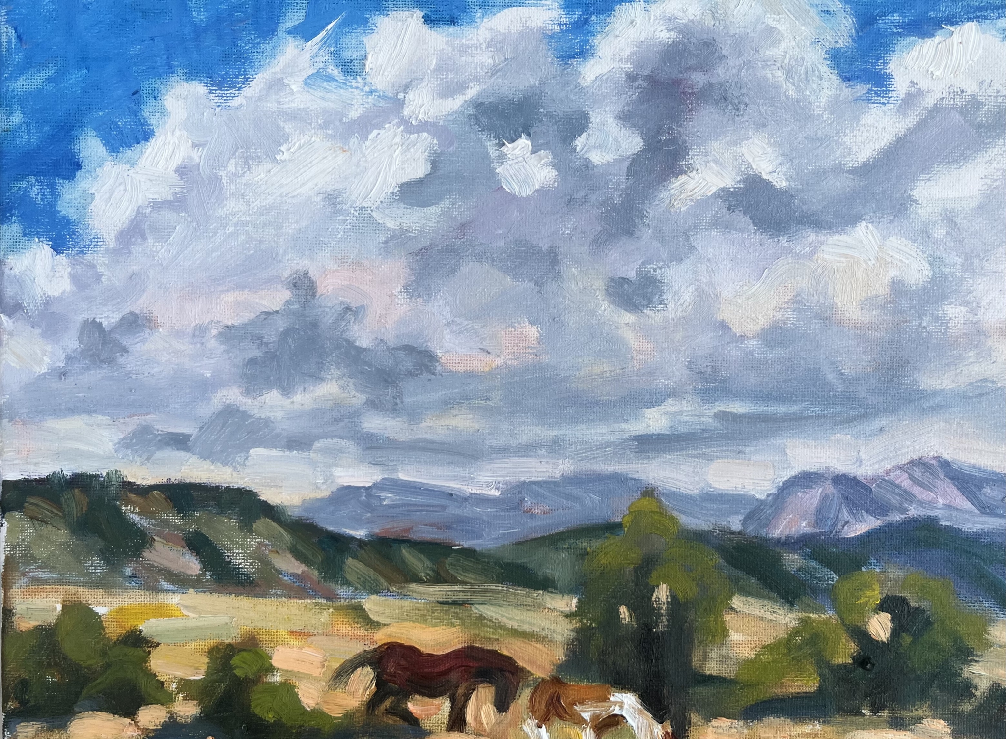 Cloud Drama by Susan Bell