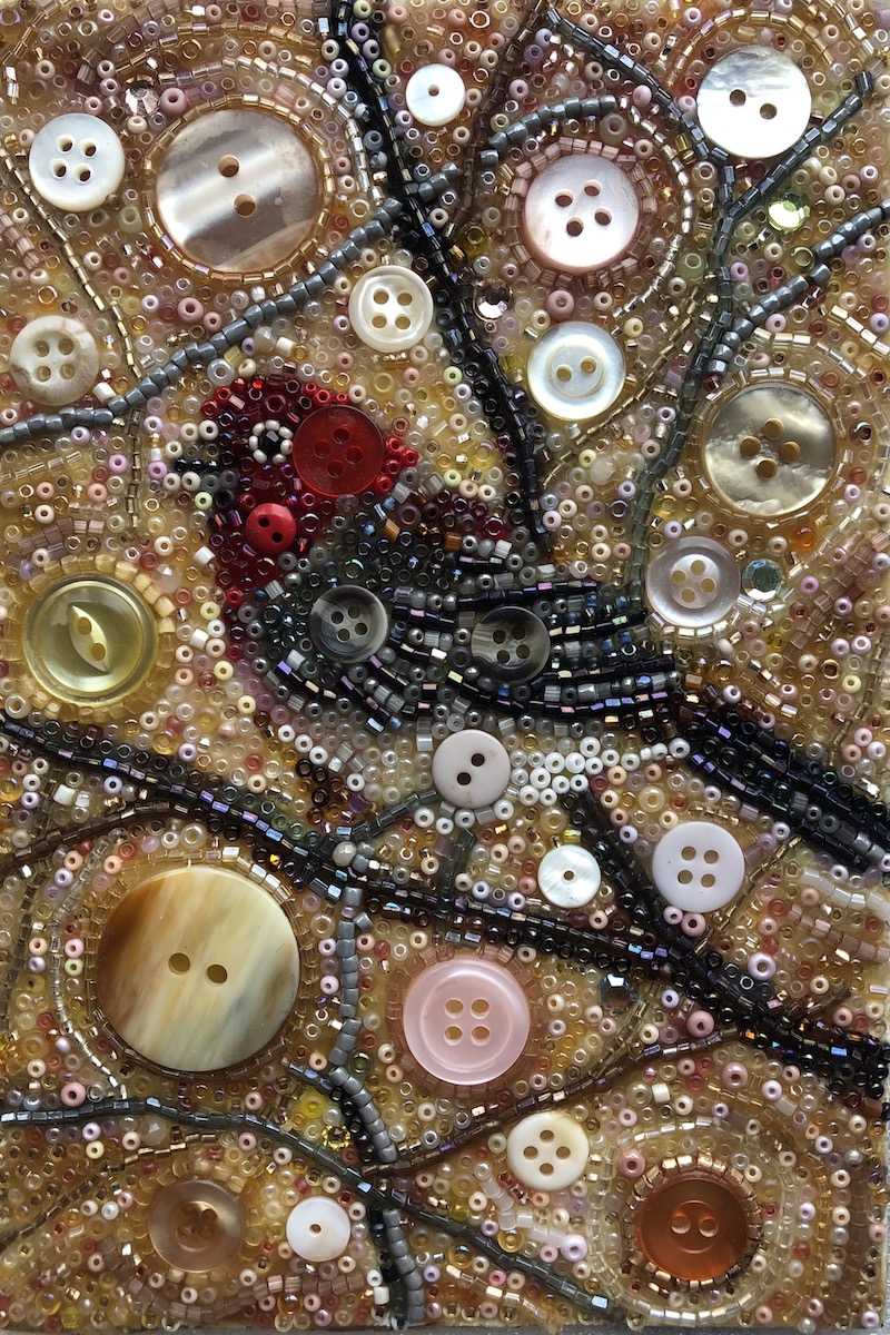 Housefinch by Susan Bell