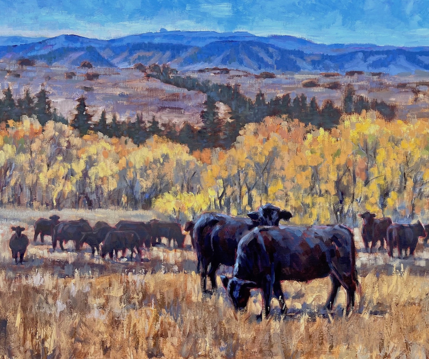 Black & Gold by Susan Bell