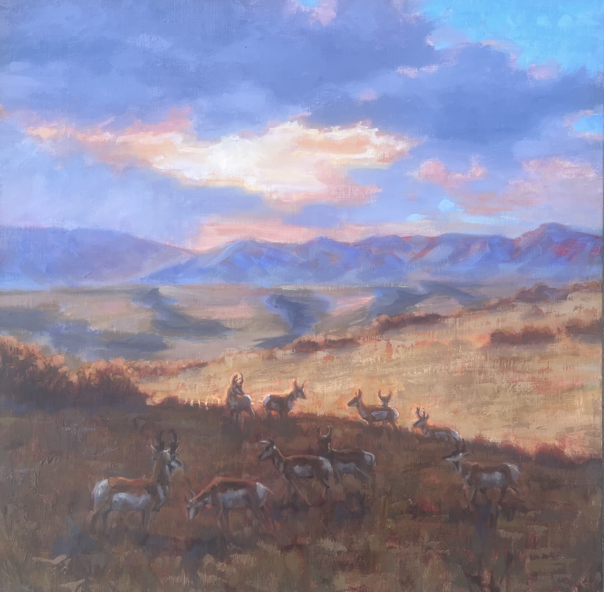 Twilight Shadows by Susan Bell