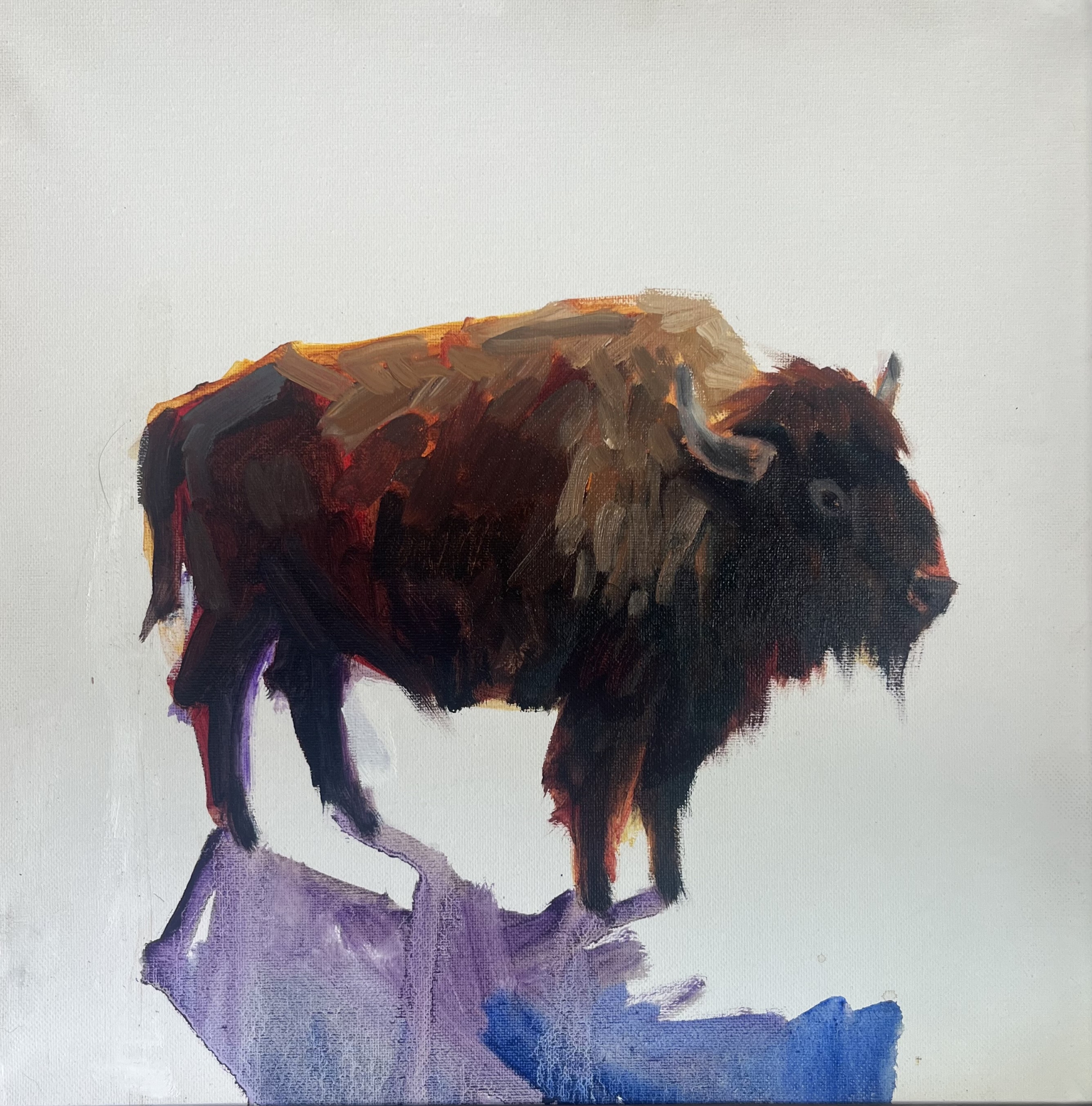 Plains Prince by Susan Bell