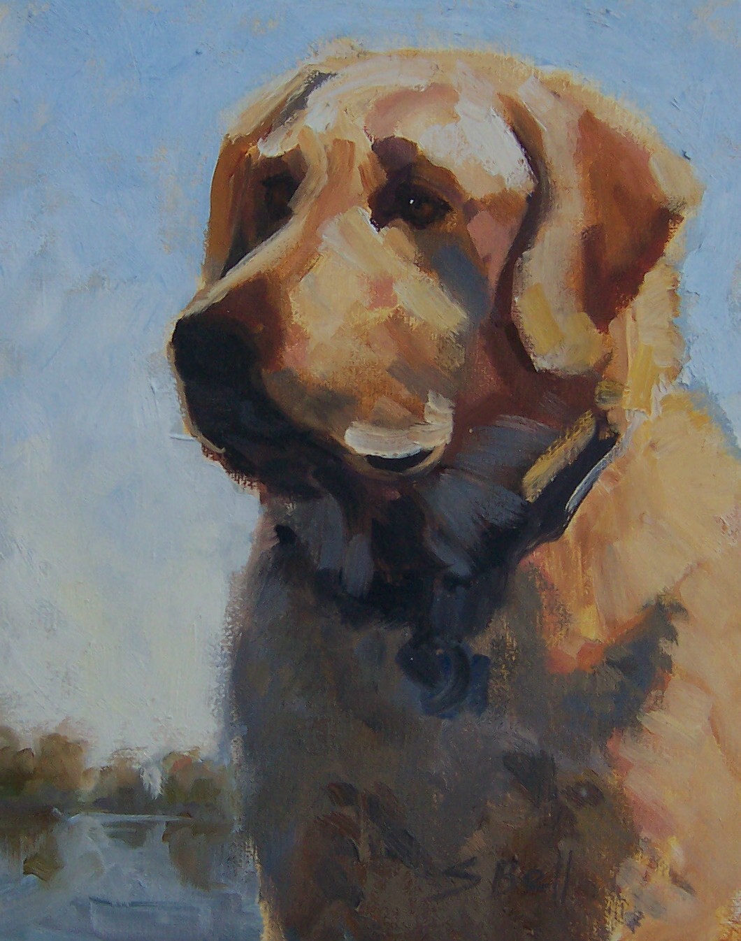 Golden Labrador by Susan Bell