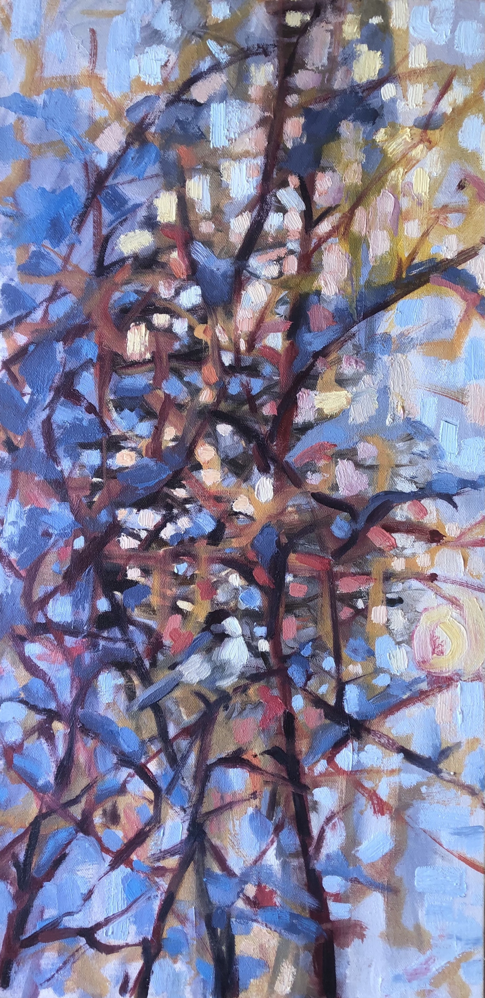 Click here to view If I were a bird  by Susan Bell