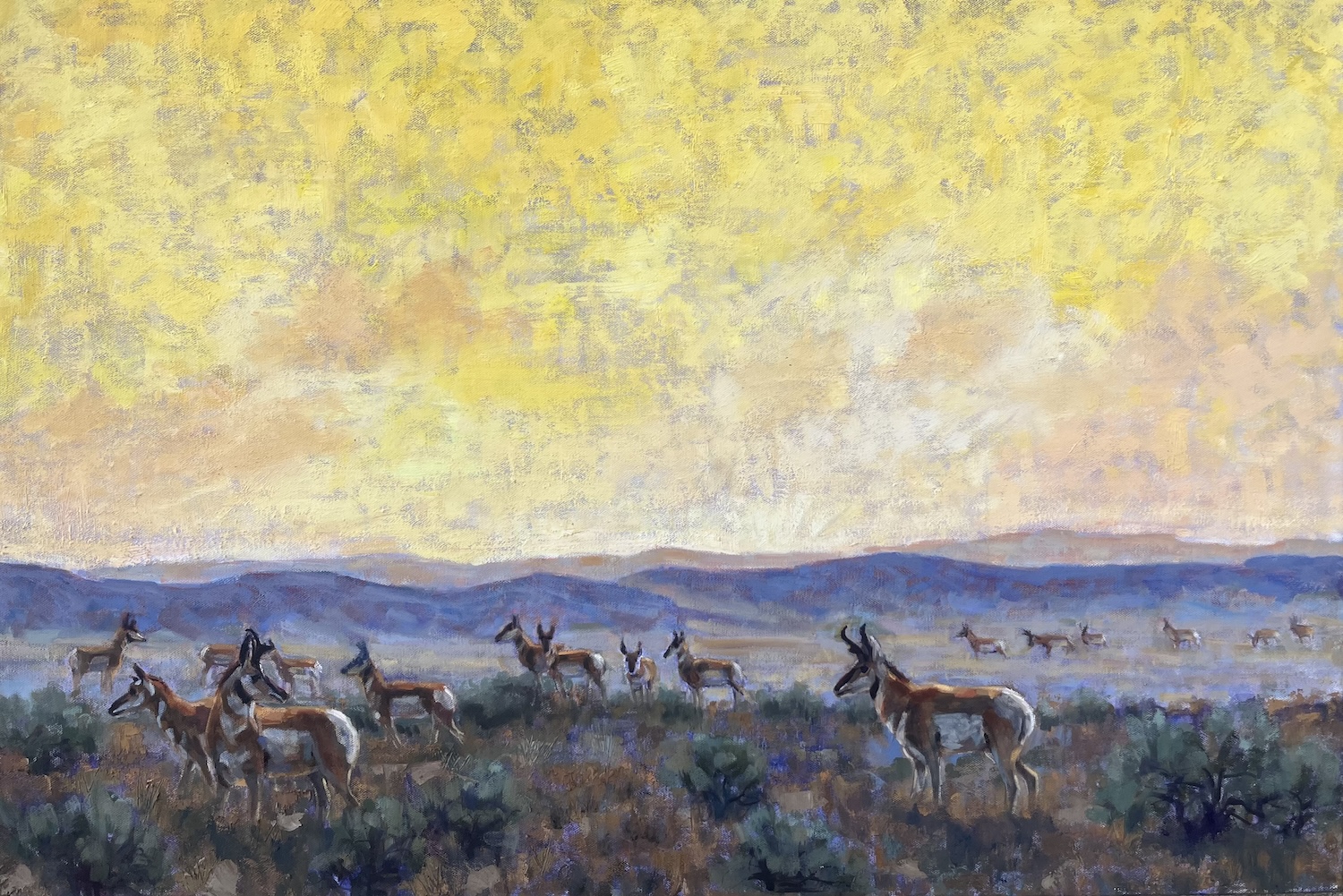 Golden Hour by Susan Bell