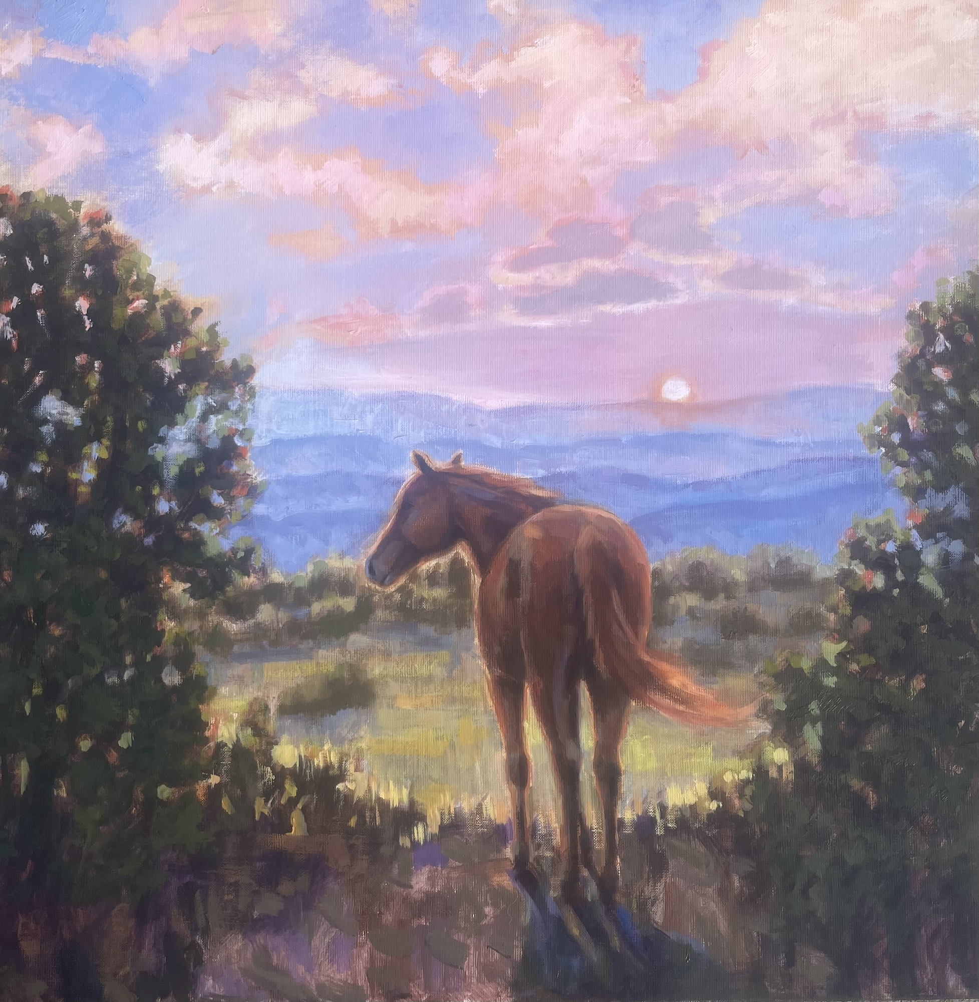 Click here to view Found What She Was Looking For by Susan Bell