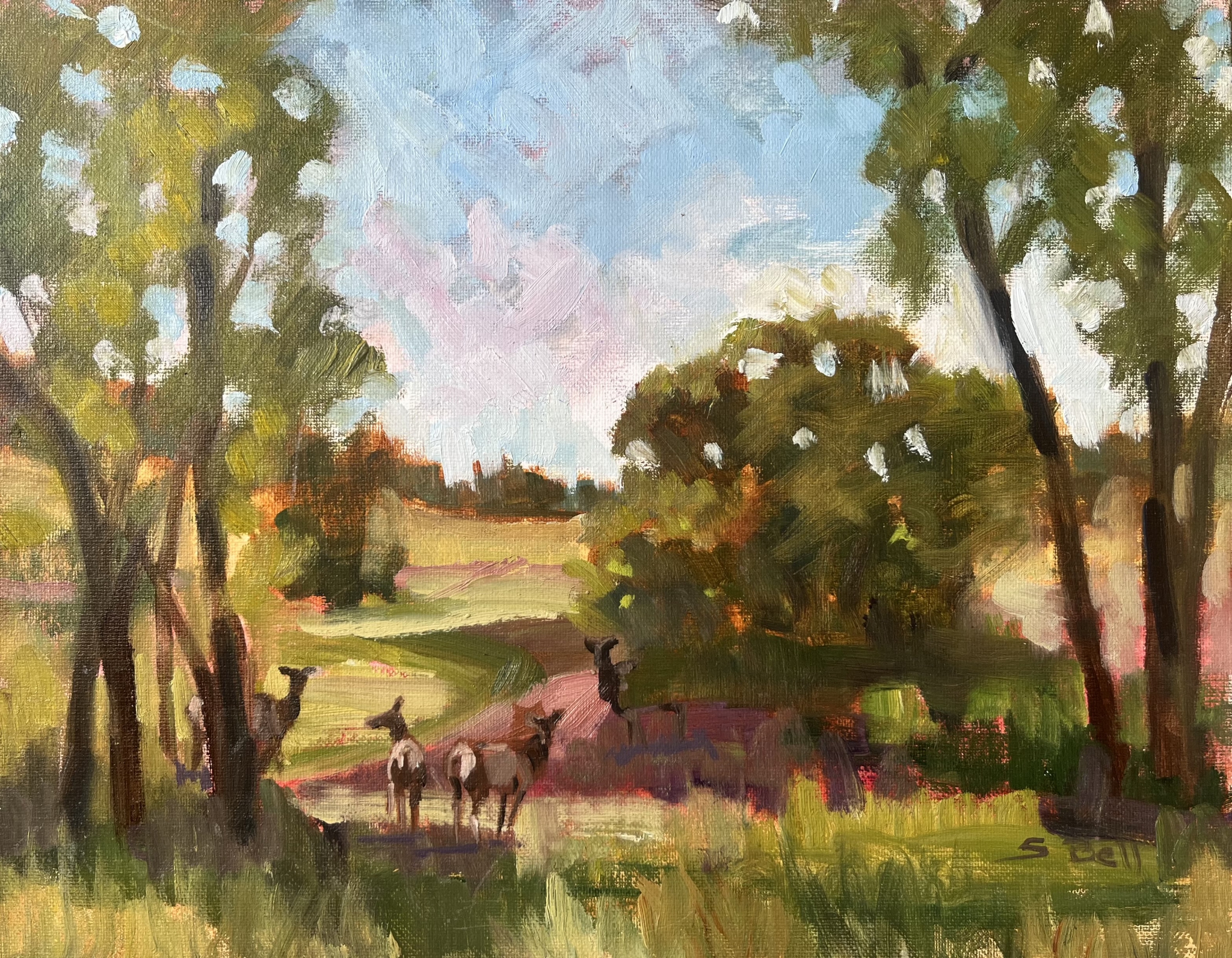 Click here to view Castle Elk Herd by Susan Bell