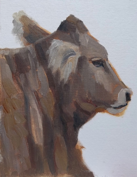 Miss Xandy by Susan Bell