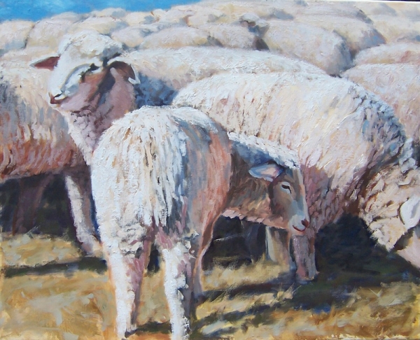 Hiding in the Herd by Susan Bell