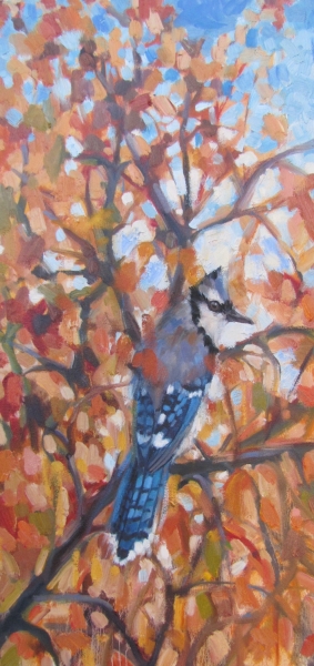 Birdy Jim by Susan Bell